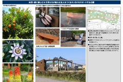 C-Ilnds_2